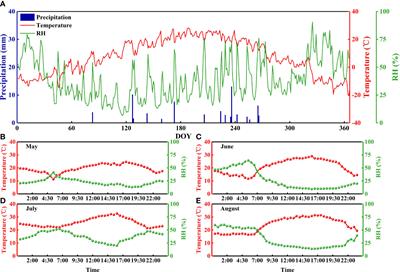 Water use strategies of Nitraria tangutorum in the lake-basin region of the Badain Jaran Desert